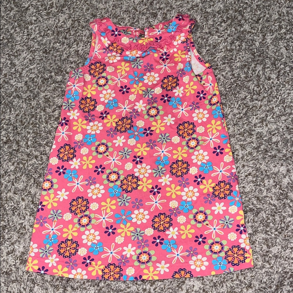 Hanna Andersson Pink Floral Kids Dress